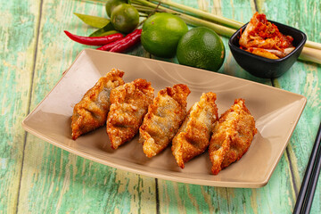Asian fried stuffed dumplings gyoza