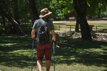 Man Hiking in a Scenic Forested Park During Summer with Backpack