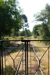 Fototapeta premium Discover a 19th-century train in the southwest of the Landes region.