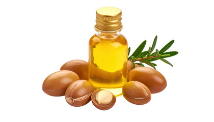 Argan oil bottle and nuts isolated on transparent background