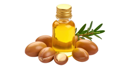 Argan oil bottle and nuts isolated on transparent background