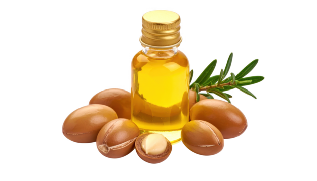 Argan oil bottle and nuts isolated on transparent background