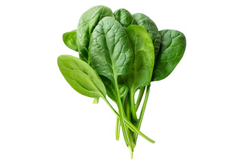 Fototapeta premium Fresh spinach leaves isolated on transparent or white background