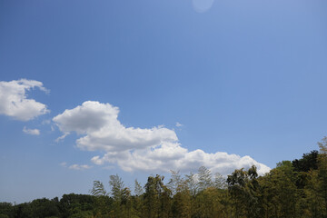 Sky-focused landscape photography