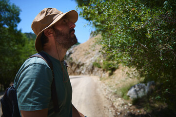 Bearded Man Hiking in Sunny Mountainous Terrain, Exploring Nature and Adventure