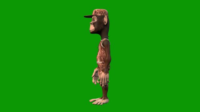 Hip-Hop Monkey Character idle Left-3D Animation on Green Screen
