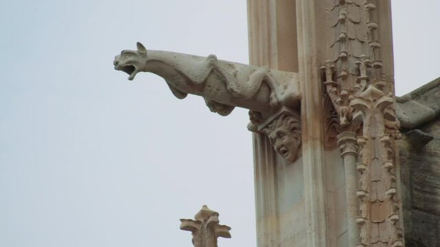 Close-up of a gothic gargoyles on Notre-Dame Cathedral, Paris, showing detailed stone carving of a mythical creature with a grotesque human face at its base, used for water drainage.