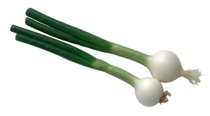 Two fresh white onions with vibrant green stalks