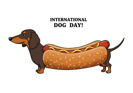 Funny Dachshund (sausage dog) in a hot dog bun costume.
