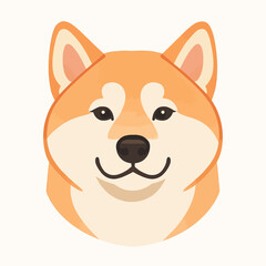 Cute Shiba Inu Dog Face Closeup