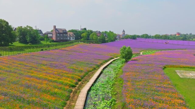 Wuhan Hua Bo Hui Scenic Spot Spring Scenery