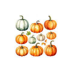 Bright illustration of orange pumpkin collection isolated on white background