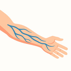 Human Arm With Visible Vein Structure