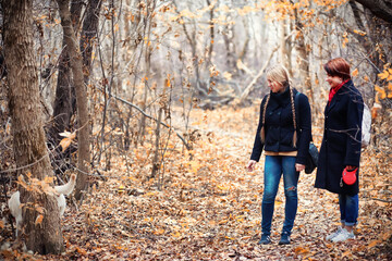 Obraz premium Young girl on a walk in the autumn