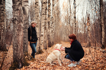 Young girl on a walk in the autumn