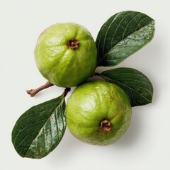 Two ripe green guavas with stems and vibrant green leaves, arranged on a plain white background, viewed from above