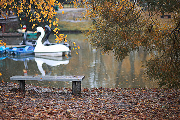 Autumn rain in the park