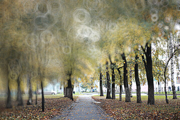 Autumn backgroun rain in the park