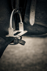 Polo Pony Riding Stirrup