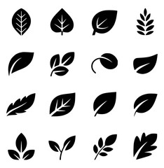 Fototapeta premium Collection of black leaf icons and symbols for nature and botanical designs