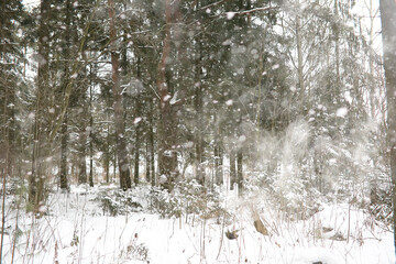 Winter landscape of country fields and roads