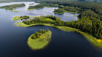 lake and forest