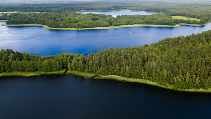lake and forest