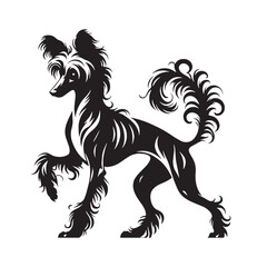 Unique Chinese Crested digital black profile, presented with clean, sharp, professional edges - Chinese Crested silhouette - Chinese Crested Vector - Silhouette of Chinese Crested - dog vector

