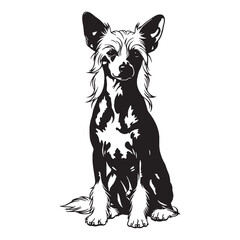 Graceful Chinese Crested canine digital black silhouette, showcasing its distinctive and elegant form - Chinese Crested silhouette - Chinese Crested Vector - Silhouette of Chinese Crested - dog vector