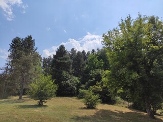 Beautiful nature photos