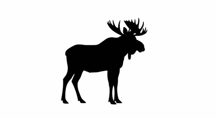Moose Silhouette on White Background