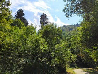 Beautiful nature photos