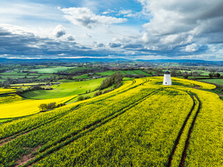 Rapeseed fields and Farms over Devon Windmill from a drone, Torquay, Devon, England