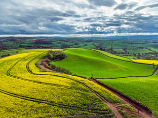 Rapeseed fields and Farms over Devon Windmill from a drone, Torquay, Devon, England