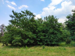 Obraz premium Beautiful nature photos