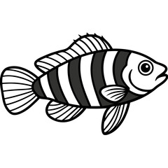 Mandarinfish line art vector