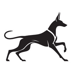 Recognizable Pharaoh Hound digital black vector, representing the breed's unforgettable appearance - Pharaoh Hound silhouette - Pharaoh Hound Vector - Silhouette of Pharaoh Hound - dog vector

