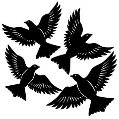 Fototapeta premium silhouette of a bird