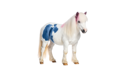 Colored pony profile picture isolated on transparent background