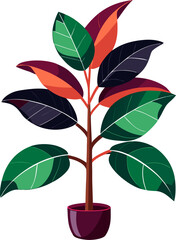 Rubber Plant icon