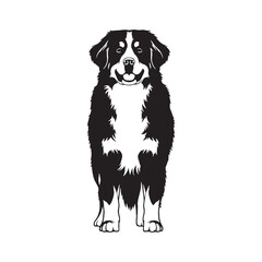 Precise Bernese Mountain Dog digital black profile, meticulously capturing subtle breed features - Bernese Mountain Dog silhouette - Bernese Mountain Dog Vector - Silhouette of Bernese Mountain Dog

