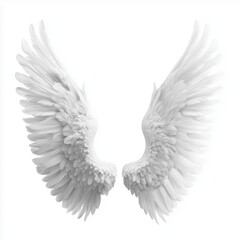 Obraz premium Pair of Elegant White Angel Wings , white background cut out PNG