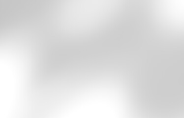 Obraz premium Shadow of leaves tree plant overlay on white wall. Sunlight effect shadow on the wall. Minimal blurred backdrop backgrounds. Summer tropical surface background.