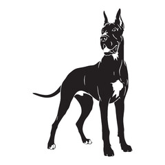 Standard Great Dane digital black vector, a classic and easily adaptable option - Great Dane silhouette - Great Dane Vector - Silhouette of Great Dane - dog vector

