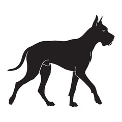 Fototapeta premium Devoted Great Dane digital black silhouette, rendered perfectly for clarity and appeal - Great Dane silhouette - Great Dane Vector - Silhouette of Great Dane - dog silhouette