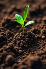 Rich Dark Brown Soil Close-Up View of Moist, Fertile Earth Ready for Planting ? Ideal for Gardening, Agriculture, and Environmental Projects