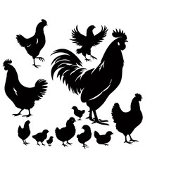 Chicken Family Silhouette – Black Vector Rooster, Hen, and  Chicks in Sideview on White Background
