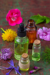 Essential oils and herbs on a table