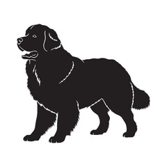 Standard Newfoundland dog digital black vector, a classic and easy-to-use option for adaptation - Newfoundland dog silhouette - Newfoundland dog Vector - Silhouette of Newfoundland dog


