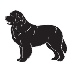 Stalwart Newfoundland dog digital black silhouette, perfect for clear and high-quality rendering - Newfoundland dog silhouette - Newfoundland dog Vector - Silhouette of Newfoundland dog

